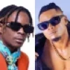 I Am Not Interested in Ending the War With Pallaso - King Saha