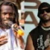 I Will Demand Bebe Cool Until My Last Breath – Bucha Man