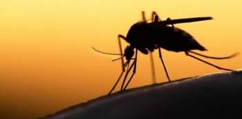 Increase in Malaria cases not alarming- Health Minister