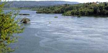 Three family members drown in River Kafu