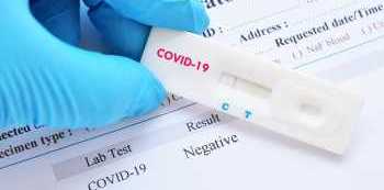 Courts fine 36 people for forging PCR COVID-19 test certificates
