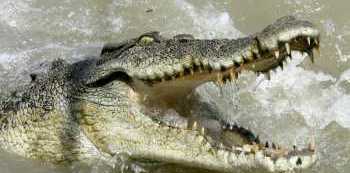 16-year-old boy mauled by crocodile in Kaberamaido, body still missing