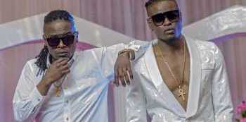 Weasel is Frustrated -&nbsp;Pallaso Says