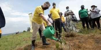 MTN Deepens its Roots in Uganda as it Restores 220 Hectares of Forest Cover