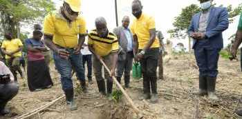 MTN Restores 50 Hectares of Forest Cover in Masaka as it Continues to Deepen its Roots in Uganda
