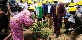 MTN Restores 50 Hectares of Forest cover in Arua as it continues to Deepen its Roots in Uganda
