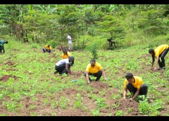 Uganda Breweries staff plant 1,200 trees in Luweero in ‘Running Out of Trees’ campaign