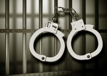 Land broker remanded for forgery, fraudulent sale of land