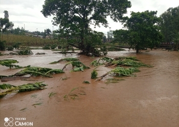 Heavy rains flood Ongaro Swamp in Otuke leaving school children stranded