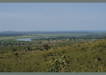 Police Recovers Lifeless Body of Ugandan Man Shot Dead in South Sudan National Park