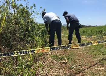 Decomposing body of missing woman discovered in Sugarcane plantation