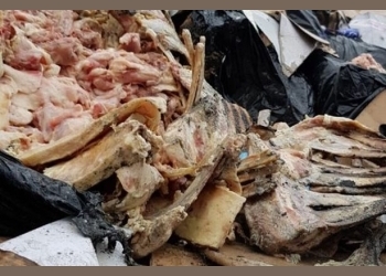 Suspected Cattle Thieves Netted Selling Decomposing Meat to Locals