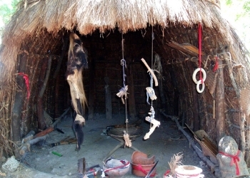 Witch Doctor Arrested after Police Recover Human Skulls, Blood in Shrine