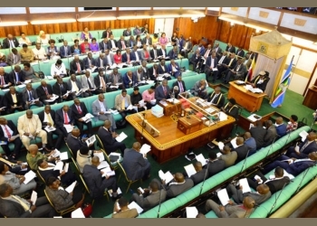 MPs concerned over implementation of new school curriculum
