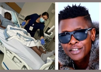 Chameleon's Illness Causes Concern Among Fans