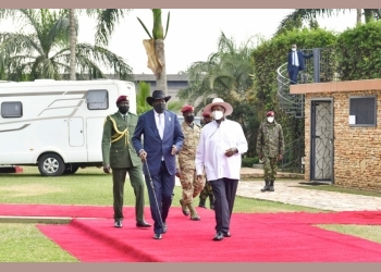Presidents intervene in Uganda, South Sudan maize row
