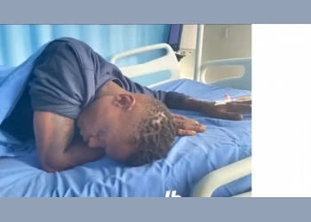 Chameleon Speaks Out After Being Discharged from Hospital