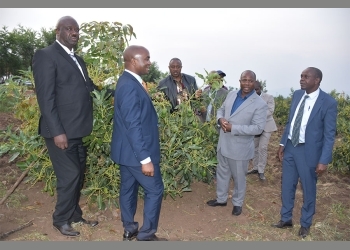 MPs propose mandatory policy on tree planting
