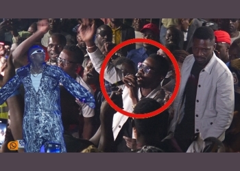 Bobi Wine delights audience with surprise performance at Zex Bilangi Langi's concert