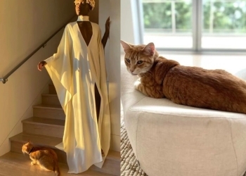 Lupita Nyong'o Replaces He Ex Lover With a Cat