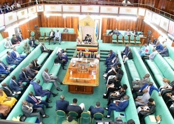 Parliament Passes Bills for Rationalisation of Gender and Special Interest Groups