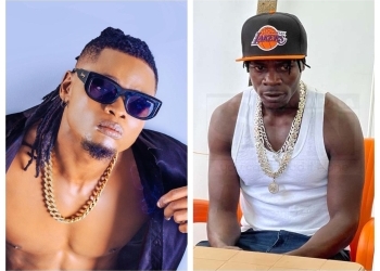 Pallaso and Alien Skin Reconcile