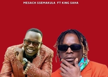 King Saha Remixes 