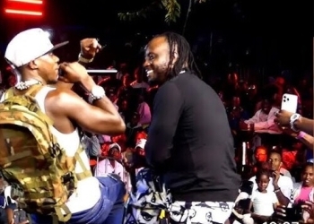 Alien Skin Is Doing Well  - Bebe Cool to Alien Skin's Fans