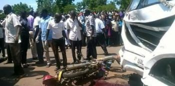 Three killed in Bus Accident