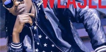 Download: Weasel Releases Gababuguma