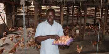 How NSSF boosted Kagenyi’s Poultry business