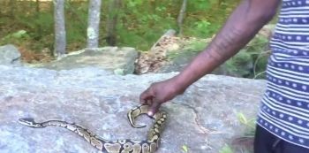 This Video Of Chameleone Playing With A Snake Makes People Believe He’s illuminati!