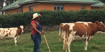 MP Muhanga FINALLY Shares Photos Of Her Beloved "Multi-Billion" Cows