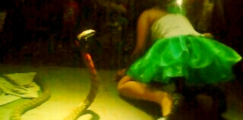 Singer Irene Dies On Stage After Cobra Bit Her During Performance &mdash; Video
