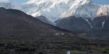 Wreckage of Missing Passenger Plane found, No survivors Registered yet