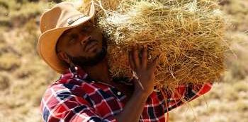 New Song: Bebe Cool Strikes Again With "Wire Wire"