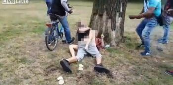 Couple Caught Having Full Sex Underneath A Tree In Broad Daylight