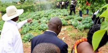Six in Trouble for Vandalizing Museveni’s Kisozi farm