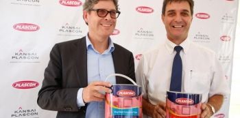 Understanding The Confusion: Plascon vs Sadolin