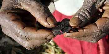 Enough is enough; Sebei Women vow to end FGM