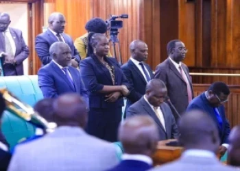 MPs demand stronger road safety policies