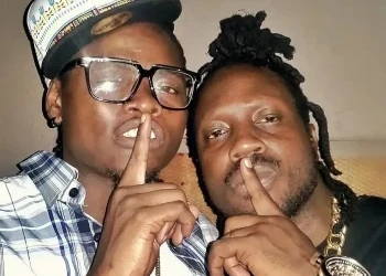 Bebe Cool Is Selfish and Unappreciative – Pallaso