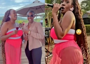 I Can Never Go For BBL – Ann Taylor