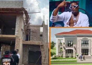 I Have Spent Over One Billion Shillings Constructing My House – Pallaso