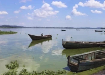 Ministry Explains The Green Colour On Lake Victoria