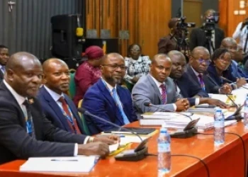 Ministry officials in acting capacity for long concerns MPs