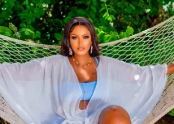 I Have Not Had Someone BONK ME This Year – Laika Music