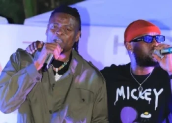 Eddy Kenzo Was Misunderstood by Kadongo Kamu Musicians – Pallaso