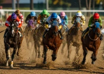 Overlooked Horse Racing Factors That Influence Betting Results
