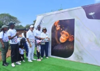 Businessman Sudhir Ruparelia Names Adopted Ngamba Island Baby Chimpanzee After Son Rajiv